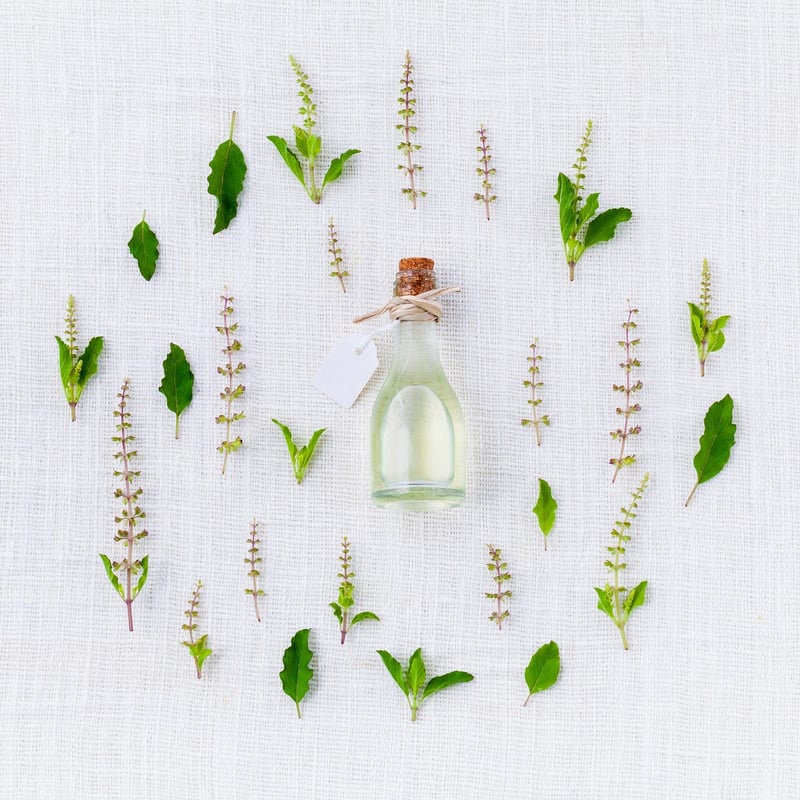 Aromatic Herb Walls